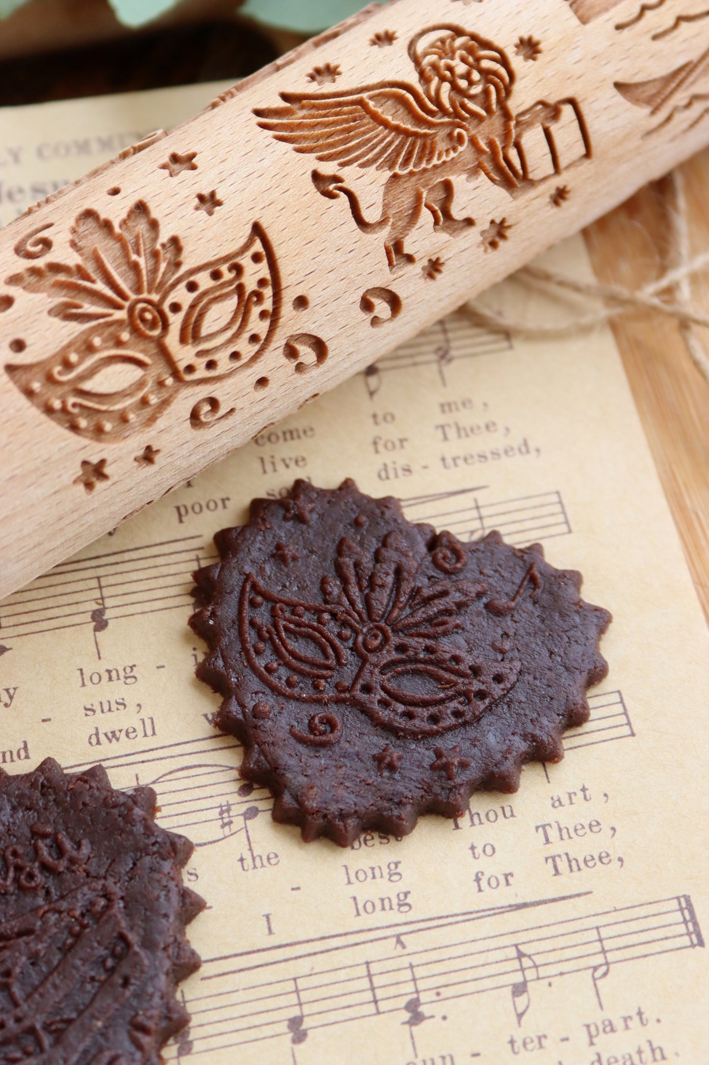 DALLE DOLOMITI ALLA LAGUNA DI VENEZIA