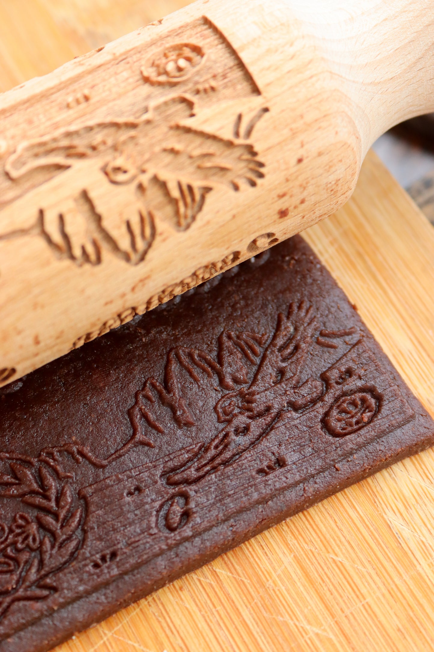 DALLE DOLOMITI ALLA LAGUNA DI VENEZIA