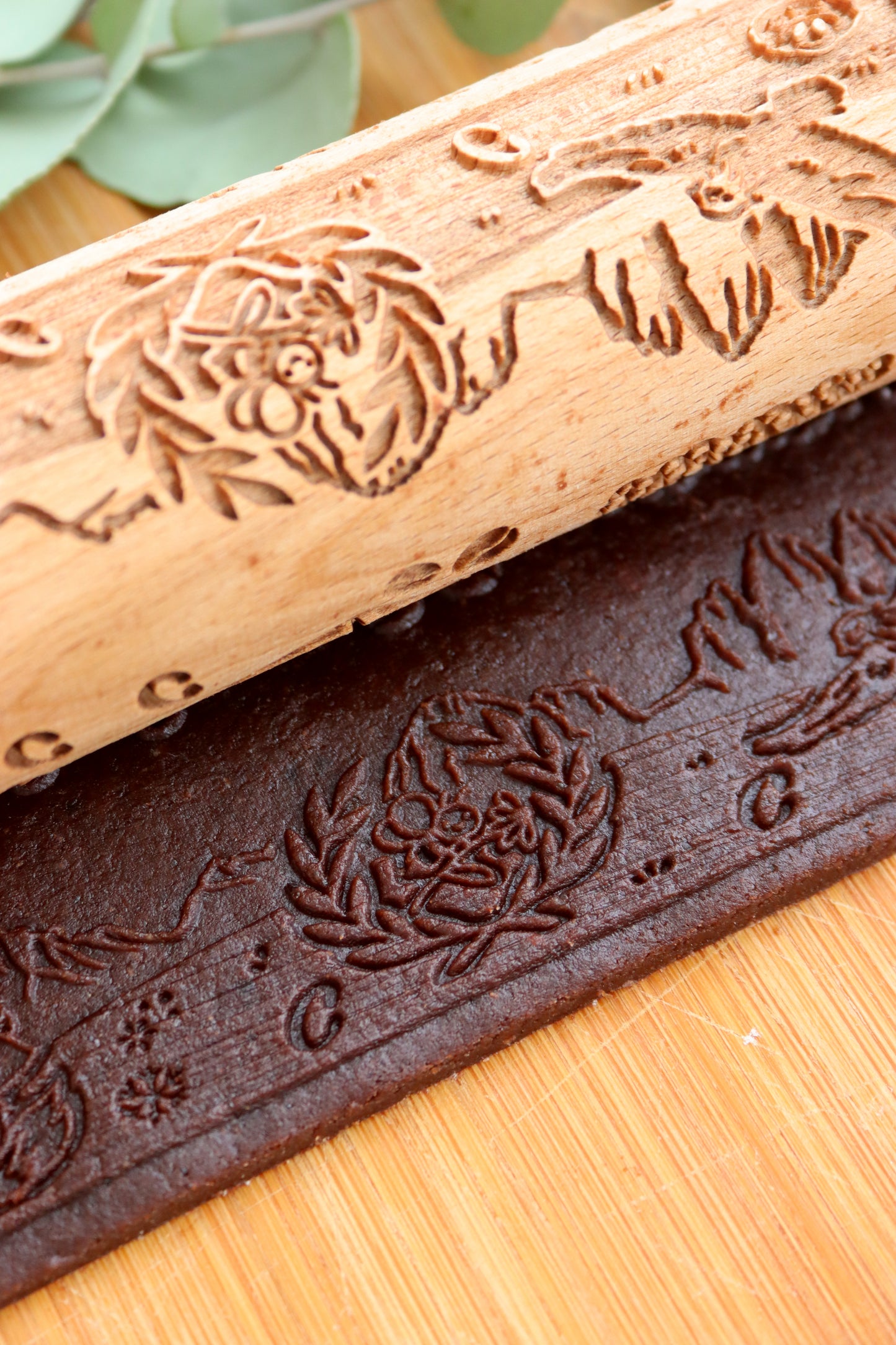 DALLE DOLOMITI ALLA LAGUNA DI VENEZIA