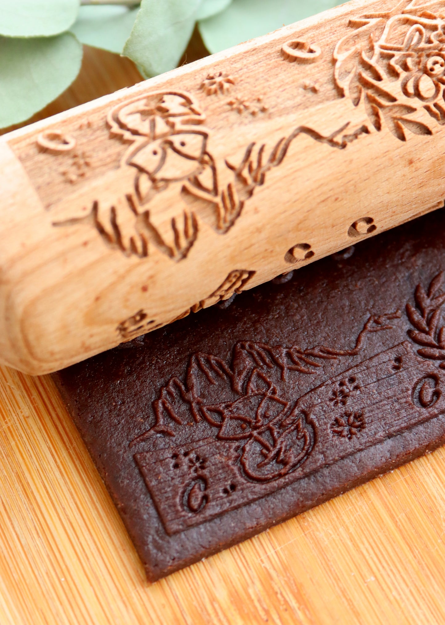 DALLE DOLOMITI ALLA LAGUNA DI VENEZIA