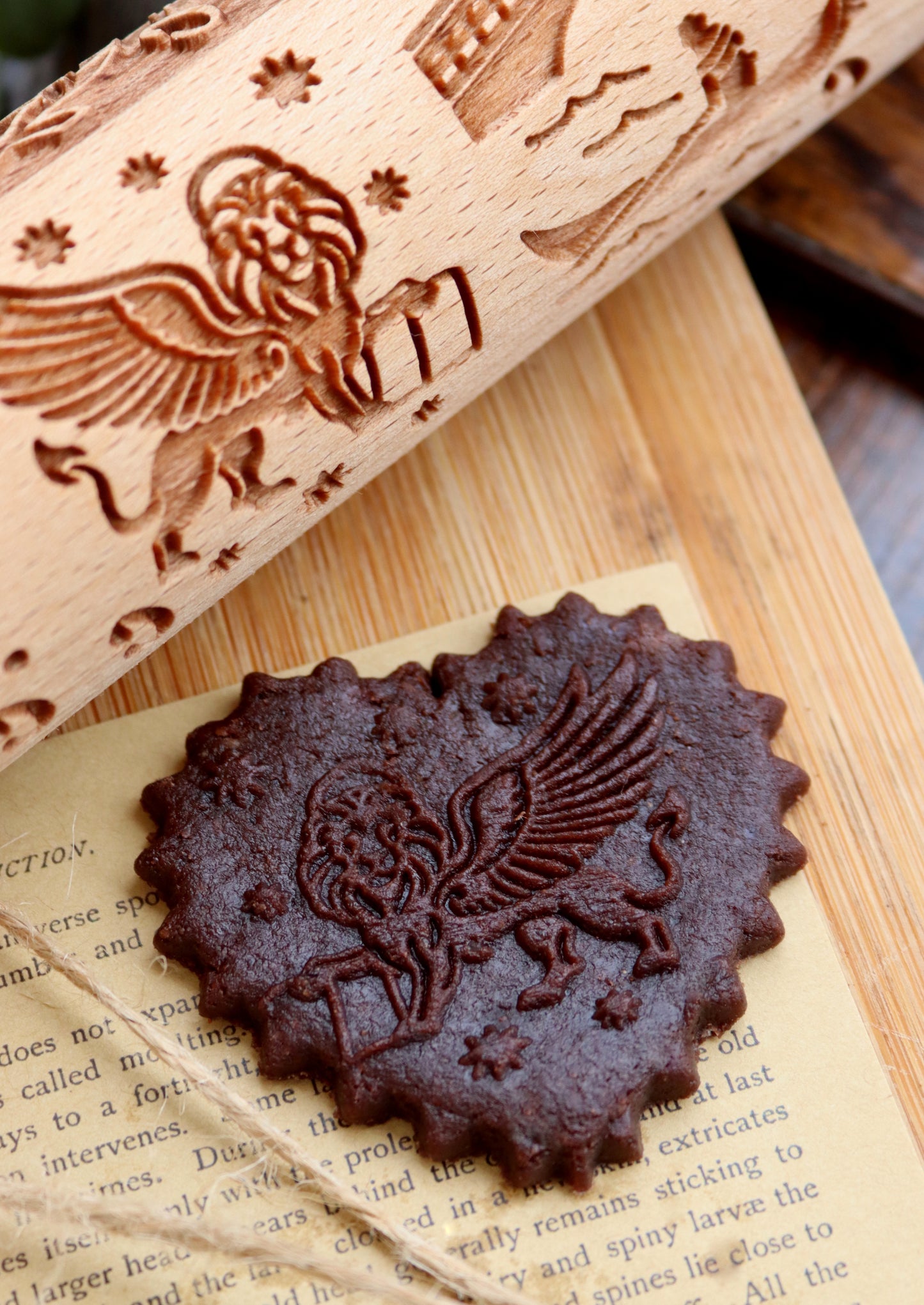 DALLE DOLOMITI ALLA LAGUNA DI VENEZIA