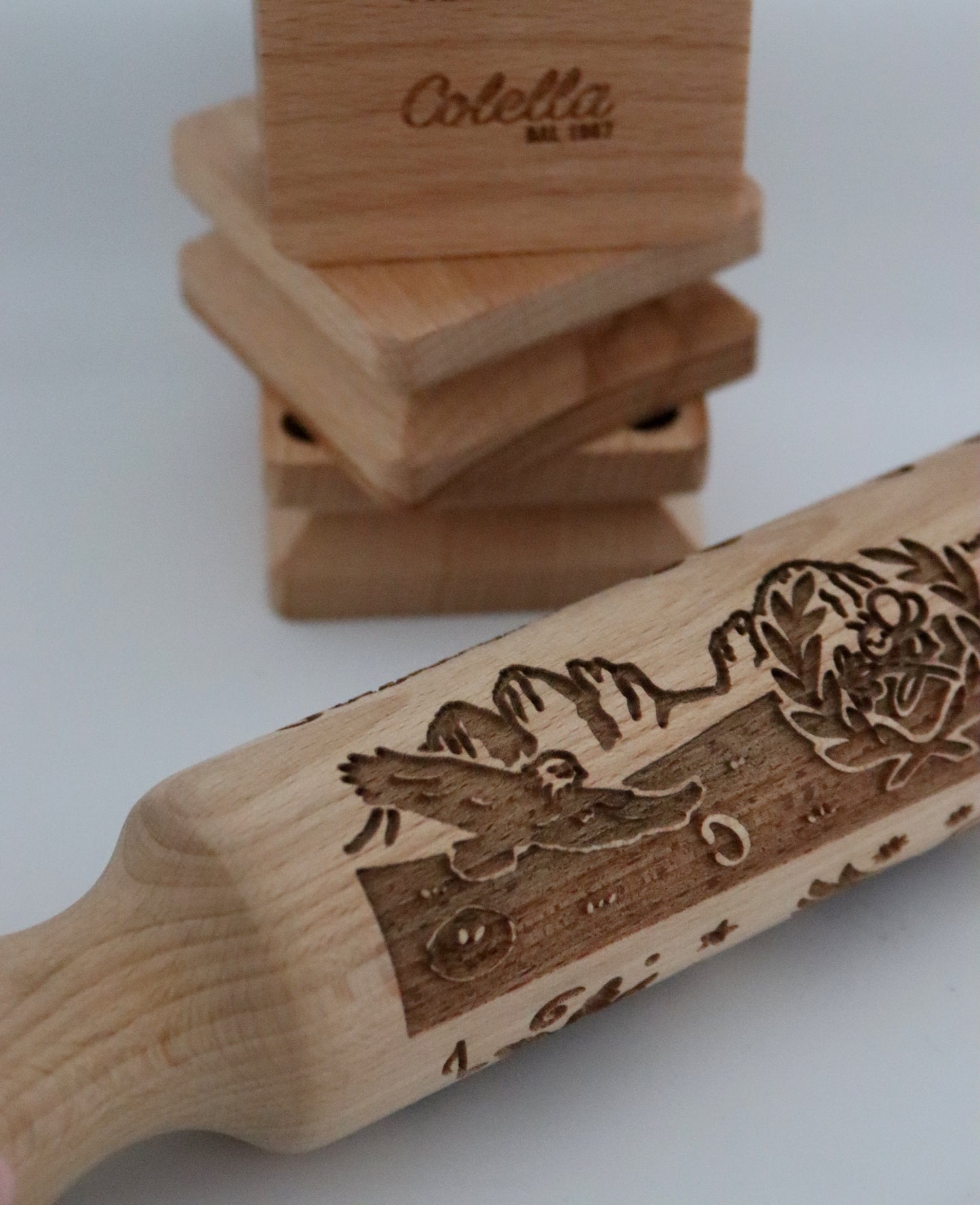 DALLE DOLOMITI ALLA LAGUNA DI VENEZIA