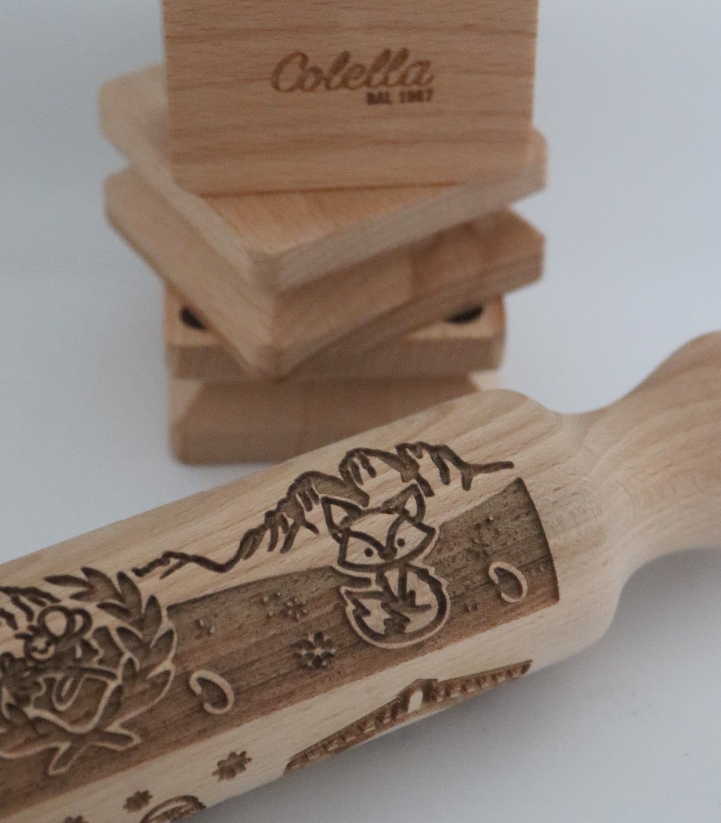 DALLE DOLOMITI ALLA LAGUNA DI VENEZIA